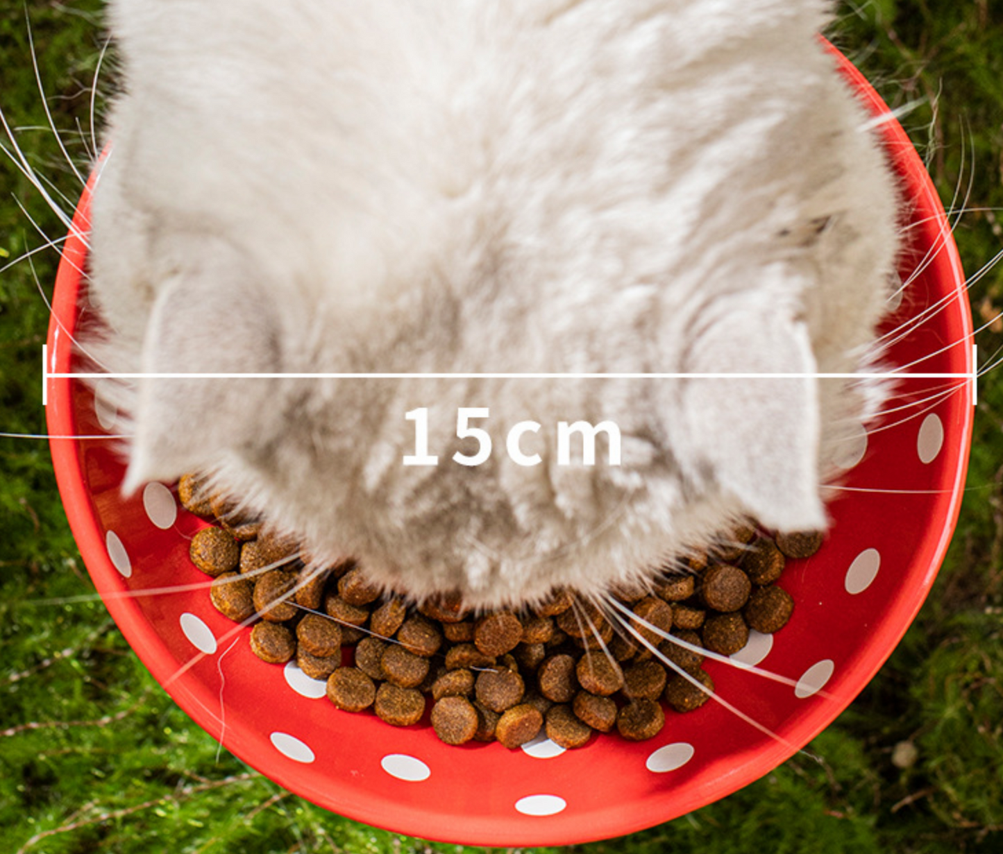 Chenpet Durable Ceramics Pet Water Bowls Food Bowls