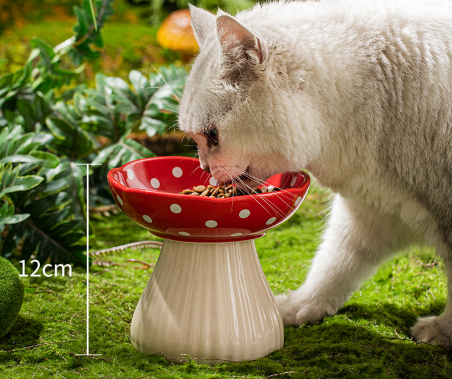 Chenpet Durable Ceramics Pet Water Bowls Food Bowls