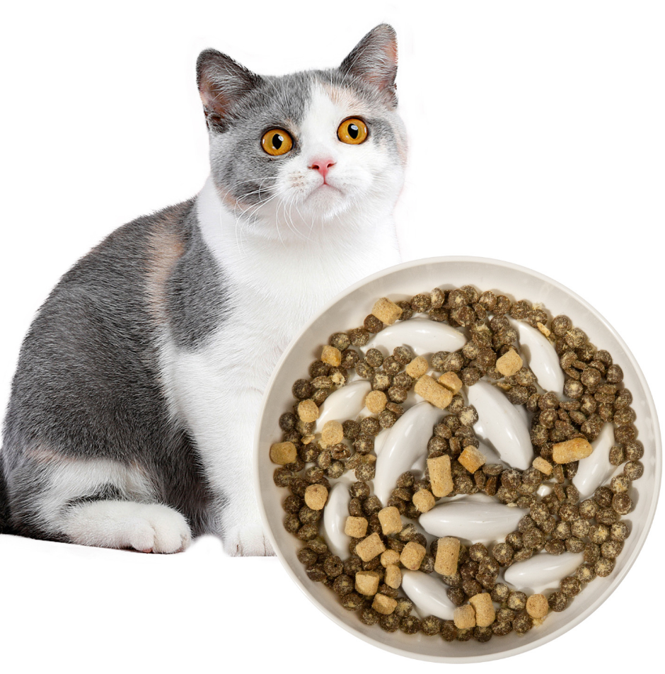 Chenpet Wholesale PP Pet Slow Feeder Bowls