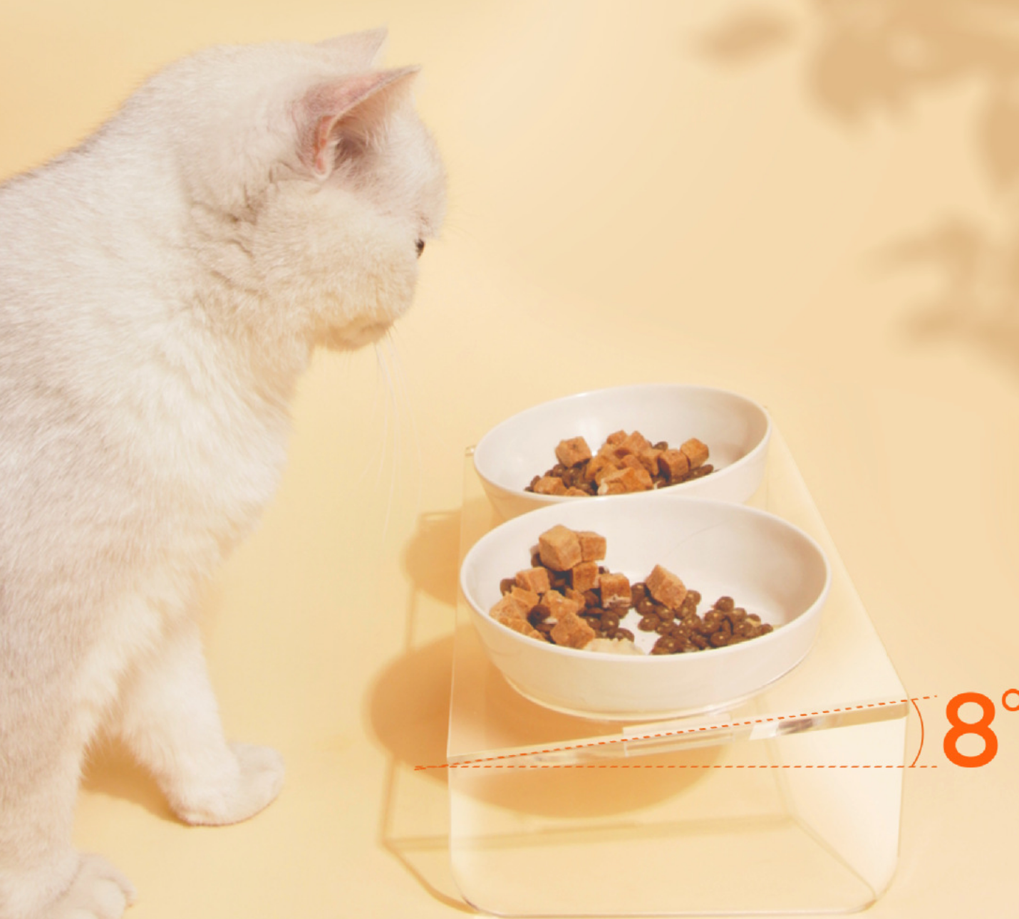 Chenpet Hot Selling Duble Pet PP Bowls Feeder Water Bowls