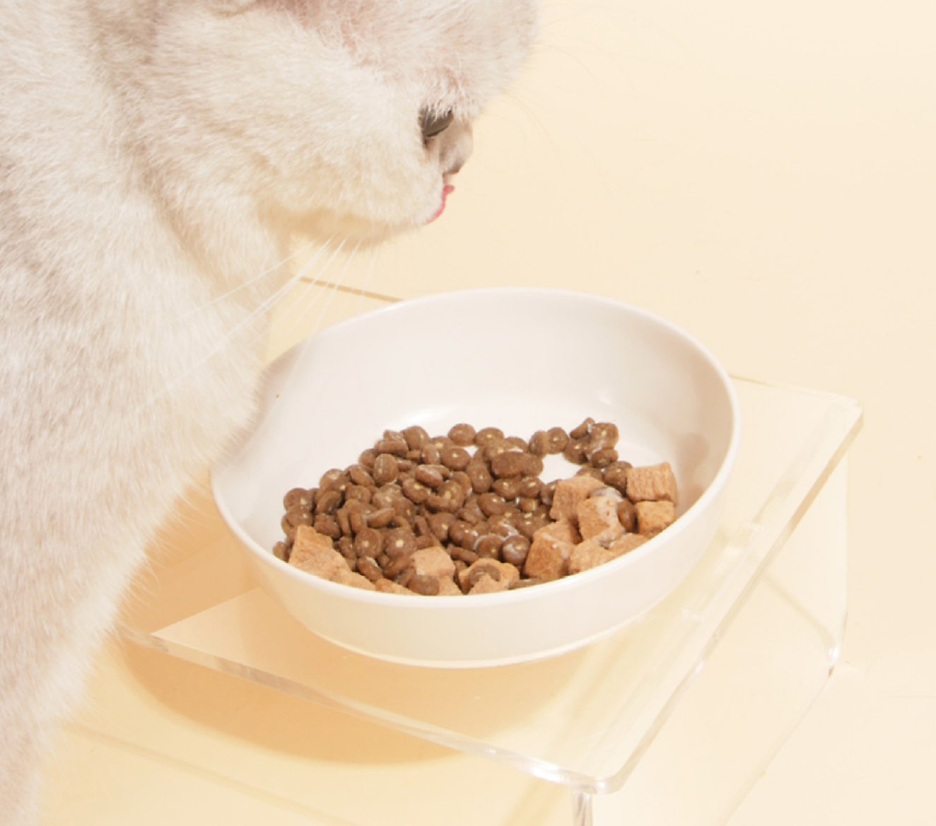 Chenpet Hot Selling Duble Pet PP Bowls Feeder Water Bowls
