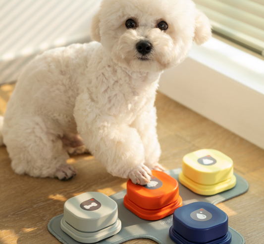 Chenpet Wholesale Pet Sound Training Bell