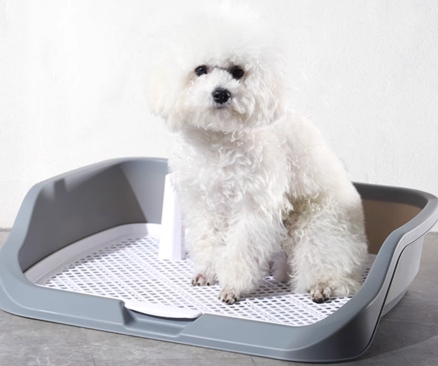 Chenpet PP Easy Clean Pet Training Toilet