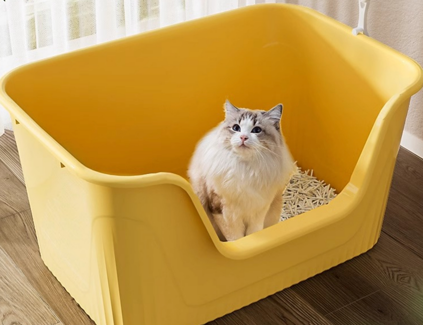 Chenpet Durable PP  Cat Litter Box Training
