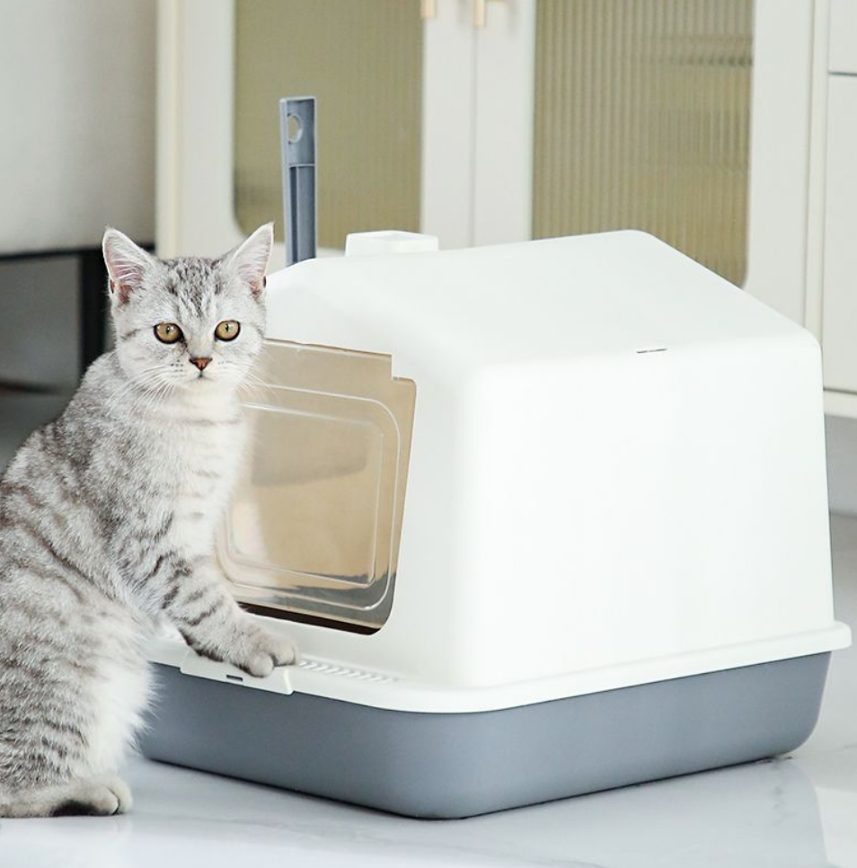 Chenpet PP Easy Wash Cat Little Boxs