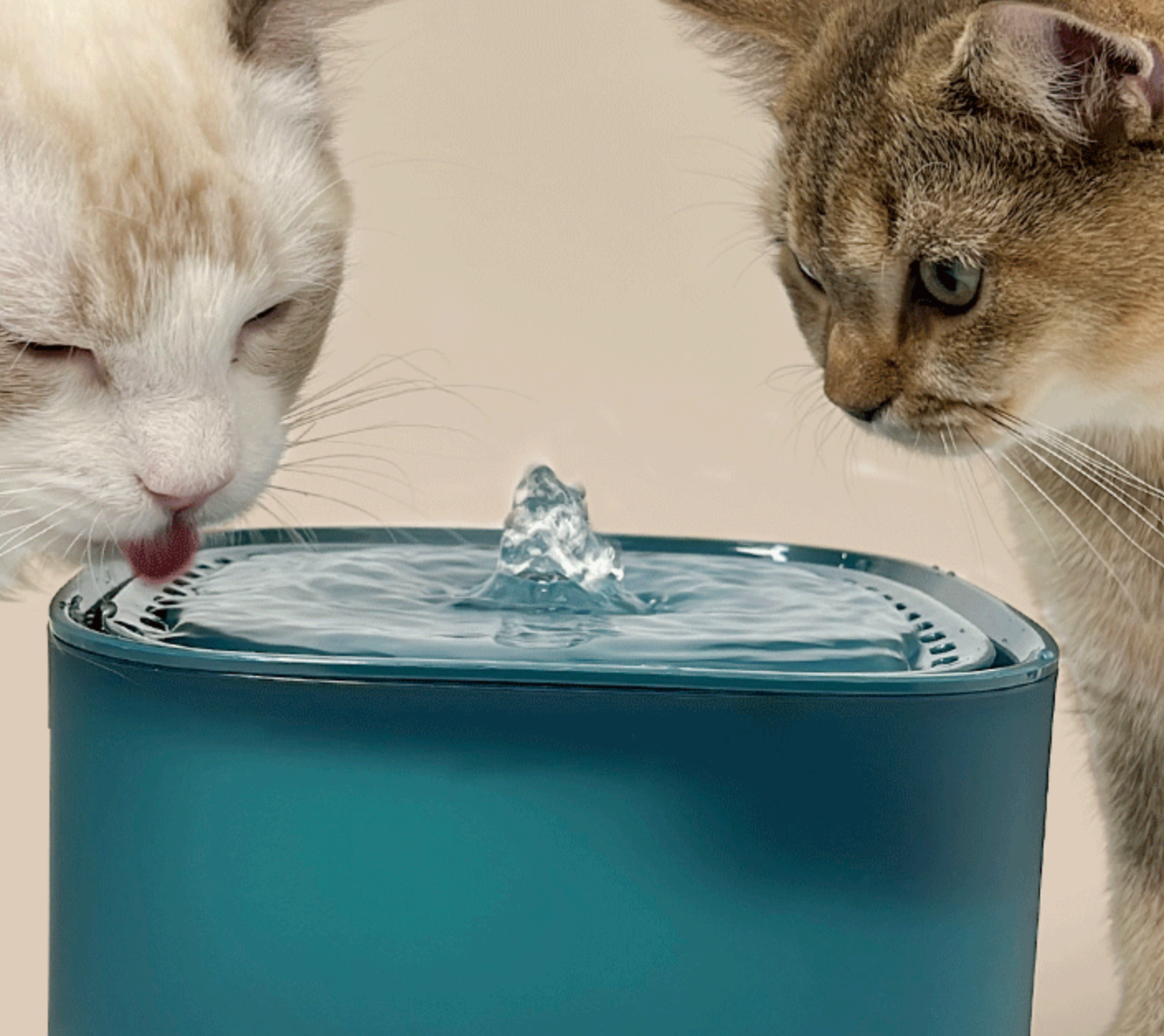 Chenpet Pet Water Dispenser Plug-In Smart Feeder for Cats