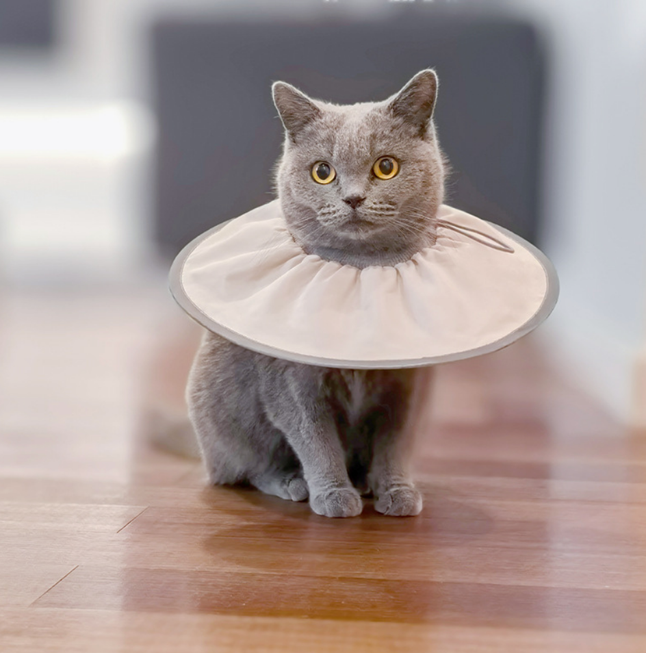Chenpet Waterproof Polyester Spay And Neuter Care Collars