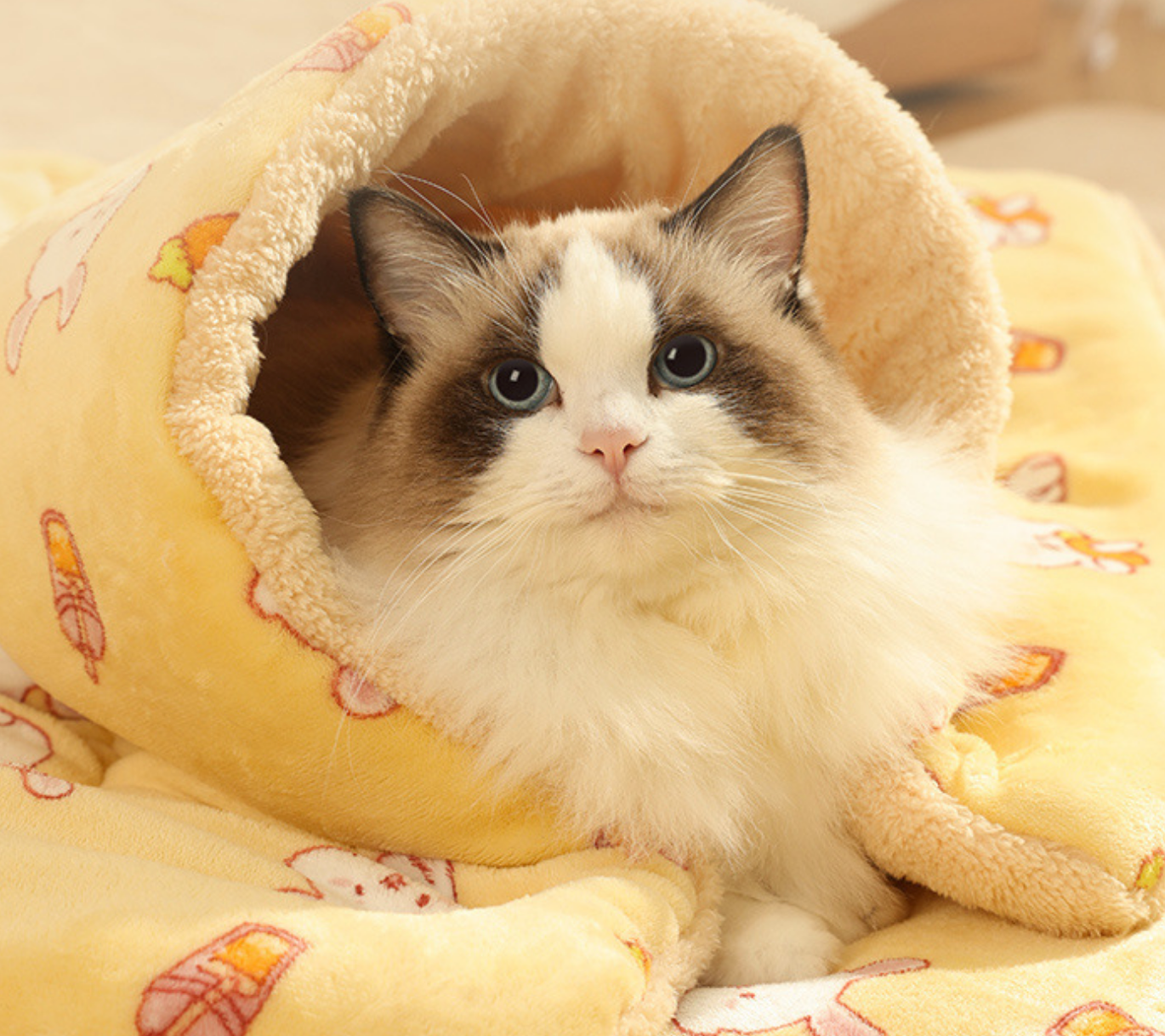 Chenpet Wholesale Thicker Pet Flannel Blankets Mats