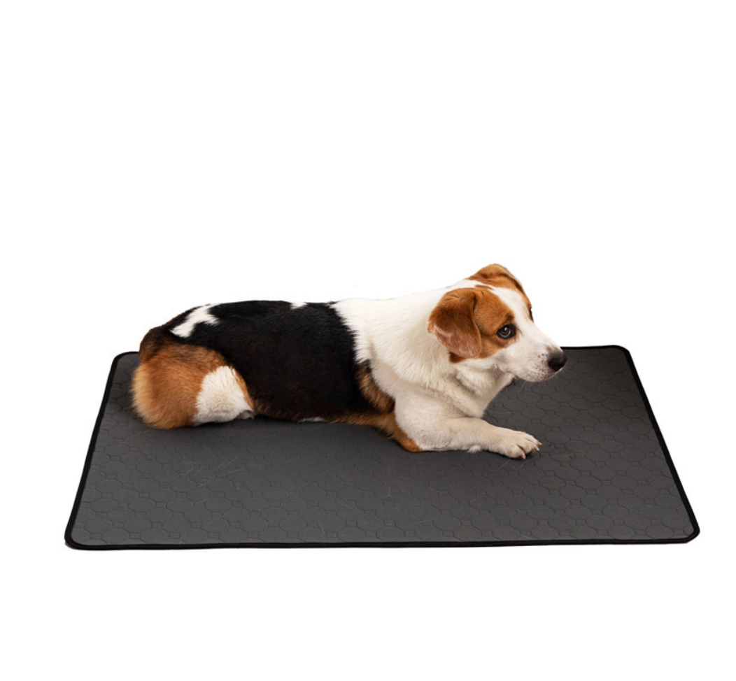 Chenpet Waterproof Pet Clean Mats Dog Training Mats