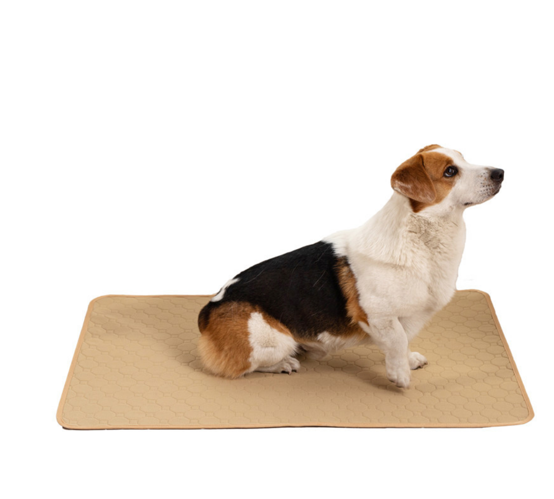 Chenpet Waterproof Pet Clean Mats Dog Training Mats