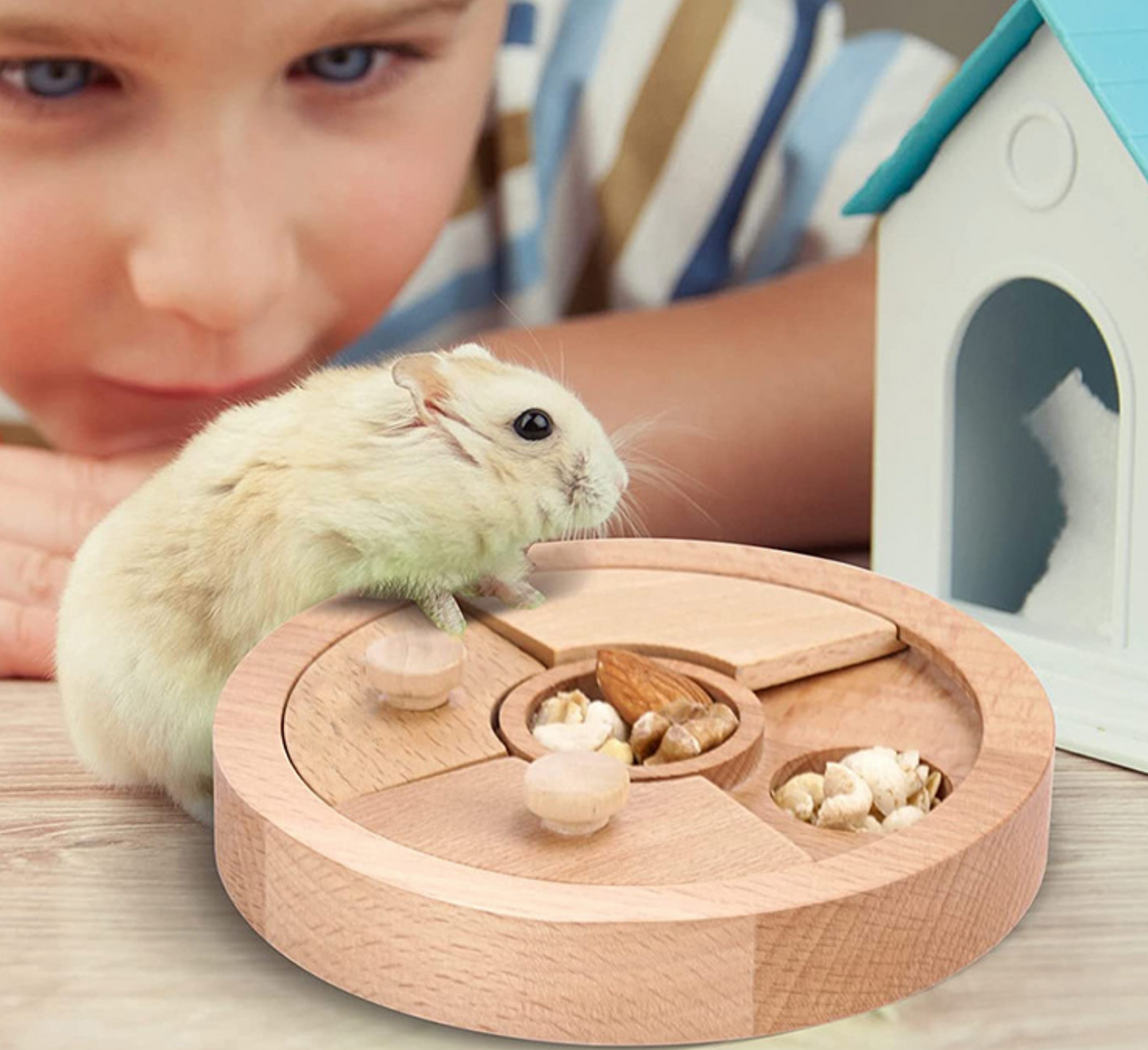 Chenpet Wholesale Eco-friendly Solid Pet Puzzle Wooden Toys