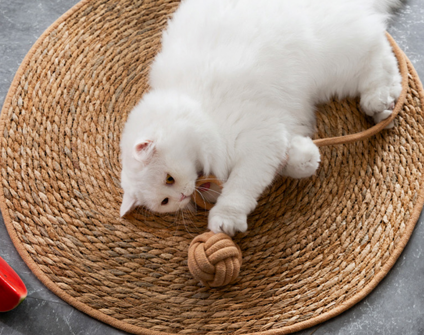 Chenpet Wholesale Summer Breathable Pet Nature Grass  Mats