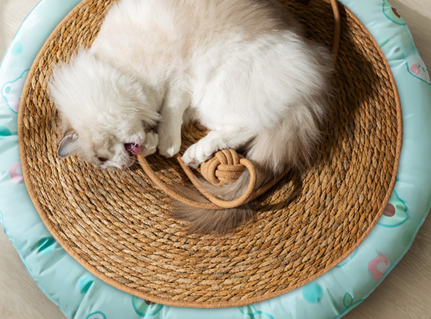 Chenpet Wholesale Summer Breathable Pet Nature Grass  Mats