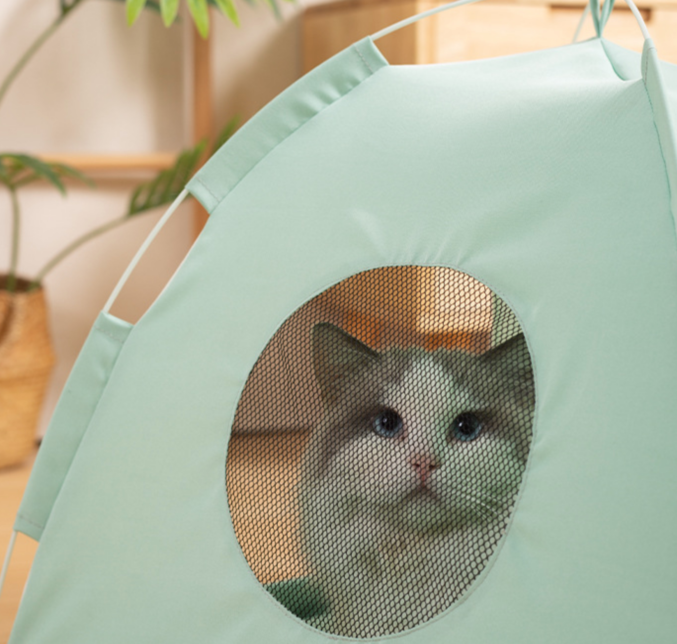 Chenpet Durable High Quality Breathable Cat Tents Pet Tents