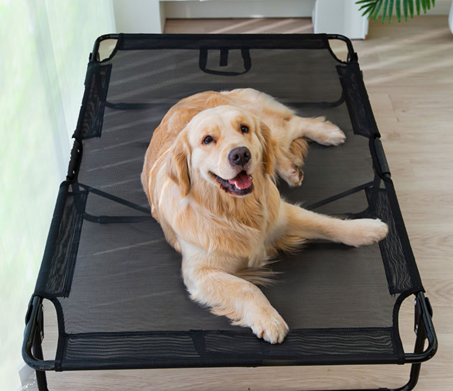 Chepet Wholesale Breathable Pet Steel Dog  Beds