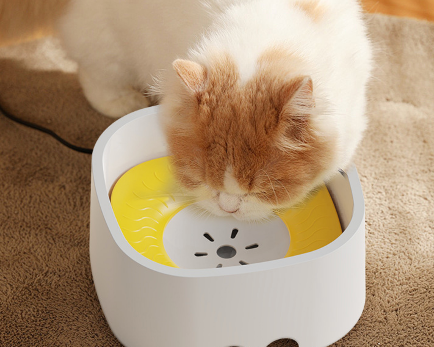 Chenpet Wholesale New Design PP Pet  Float  Bowl