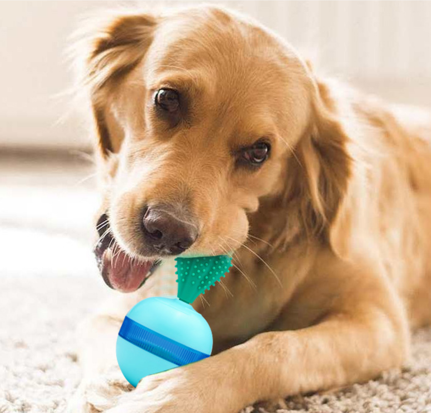 Chenpet New Design Pet Tilting Doll Feeding Toys