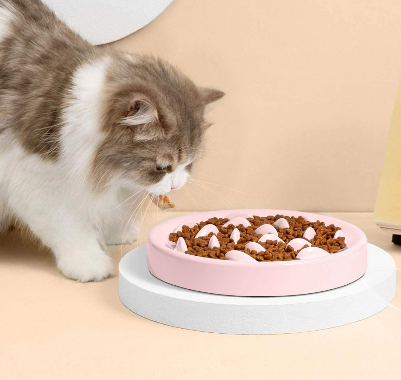 Chenpet Wholesale PP Pet  Dog Feeding Bowls