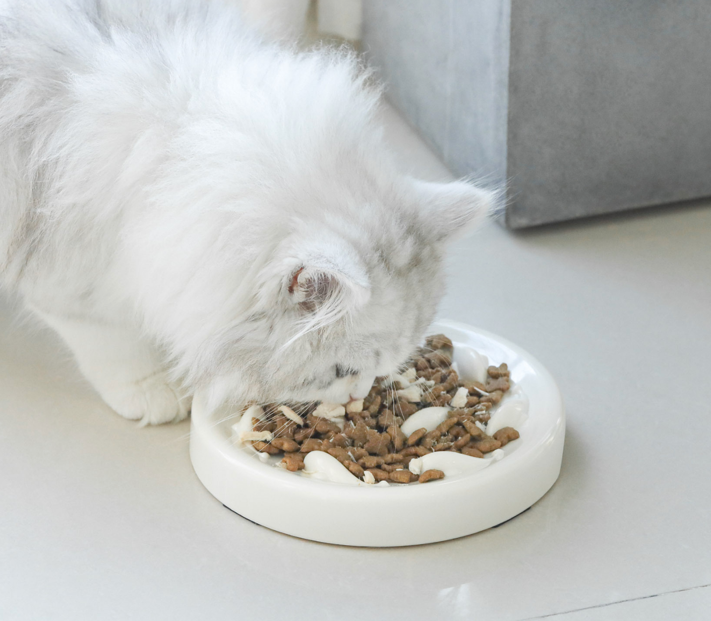 Chenpet Wholesale PP Pet  Dog Feeding Bowls