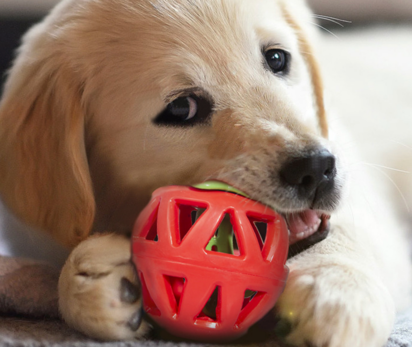 Chenpet New Design Pet TPR Puzzle Feeding Toys