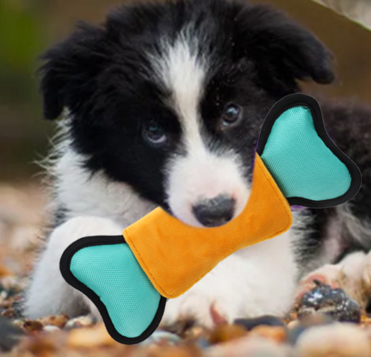 Chenpet Wholesale Custom Puzzle Feeding Dog Toys