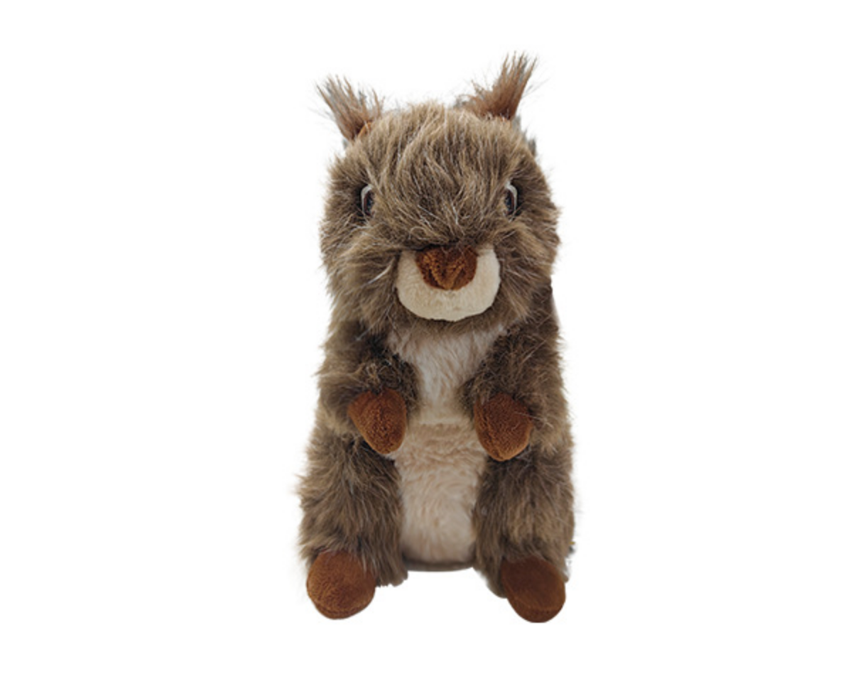 Chenpet Wholesale Custom Pet Play Plush Toys