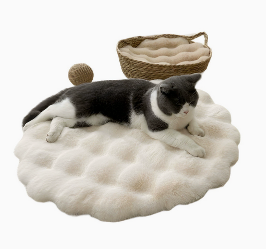 Chenpet Wholesale Pet Plush Mats Dog Mats Cat Mats