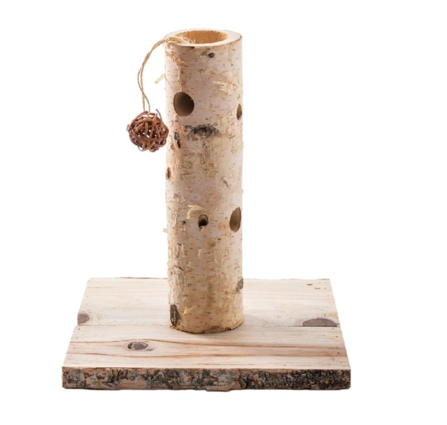 Chenpet Small Pet Natural Brich Wood Training Toys