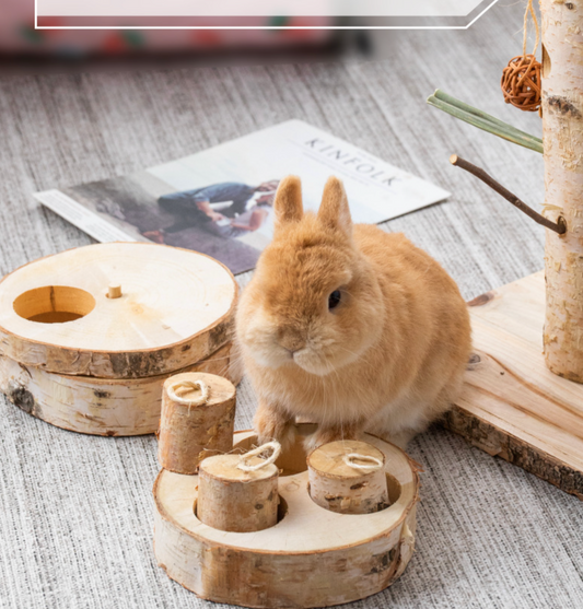 Chenpet Small Pet Natural Brich Wood Training Toys