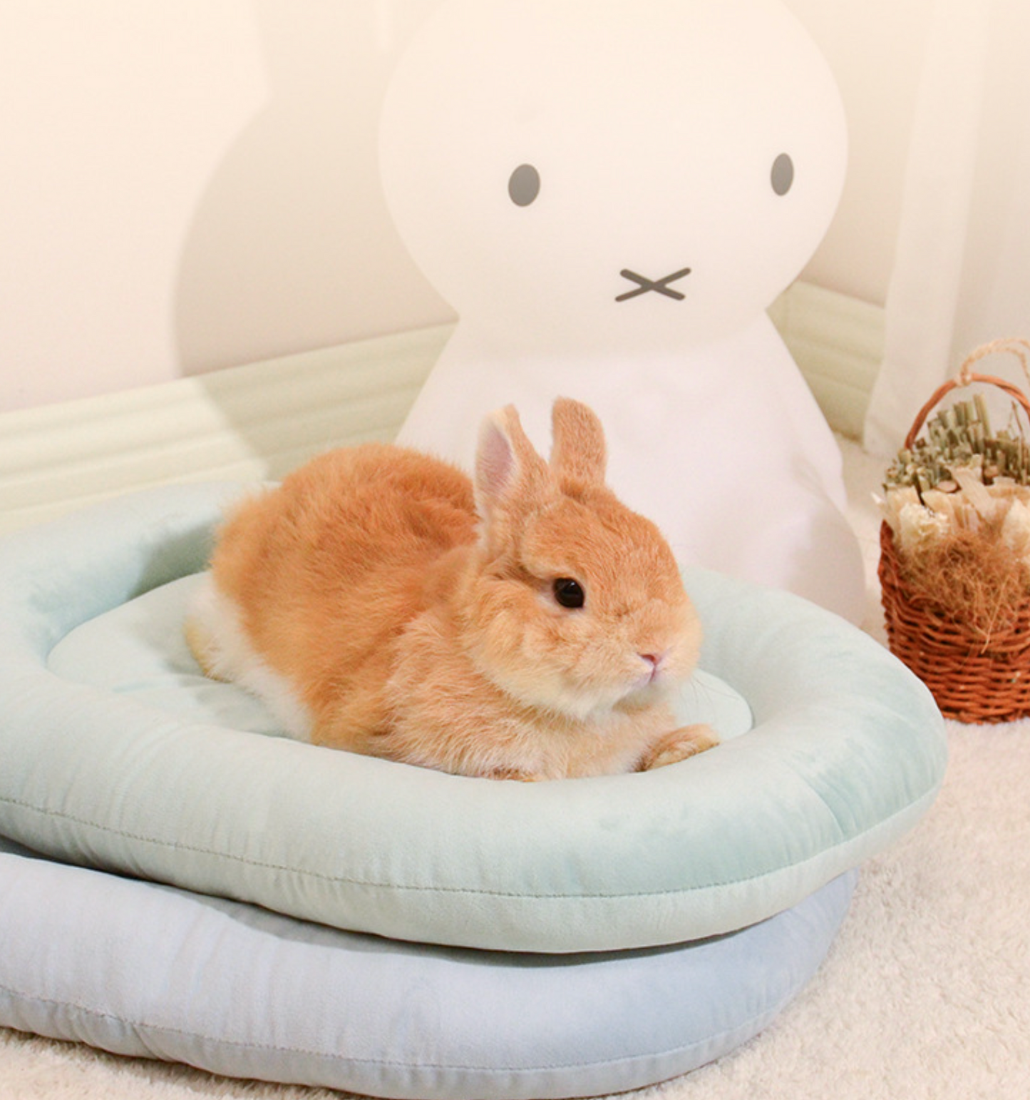 Chenpet Wholesale Four Seasonal Cozy Small Pet Mats