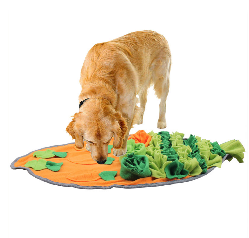 Chenpet Wholesale Hot Selling Carrot Pet Snuffle Mats