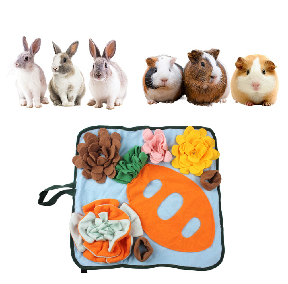 Chenpet Wholesale Customized Carrot Design Pet Snuffle Mats