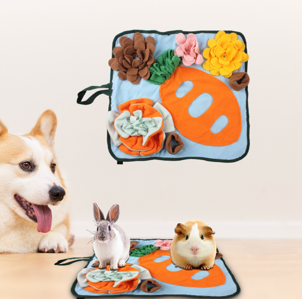Chenpet Wholesale Customized Carrot Design Pet Snuffle Mats