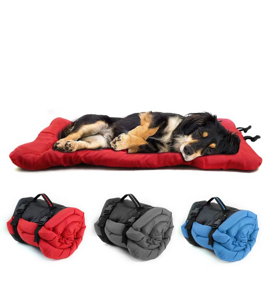 Chenpet Wholesale Outdoor Portable Waterproof Foldable Pet Mat