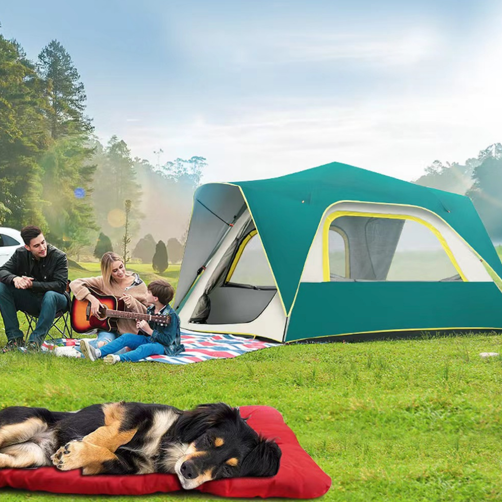 Chenpet Wholesale Outdoor Portable Waterproof Foldable Pet Mat