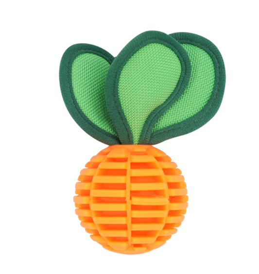 Chenpet TPU New Design Dog Chew Pet Play Toys