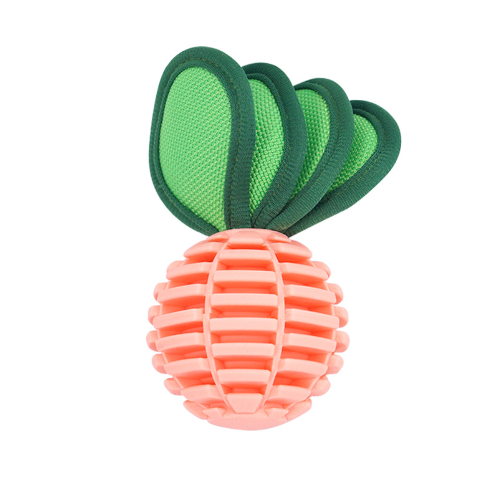 Chenpet TPU New Design Dog Chew Pet Play Toys