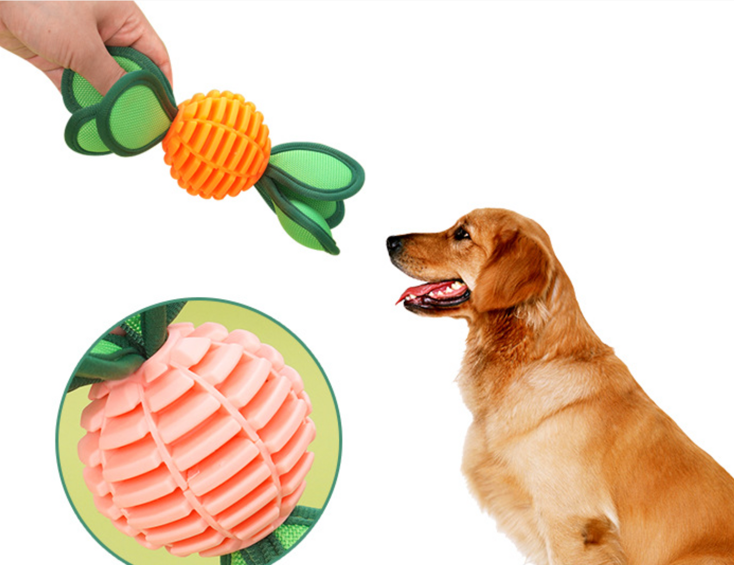Chenpet TPU New Design Dog Chew Pet Play Toys