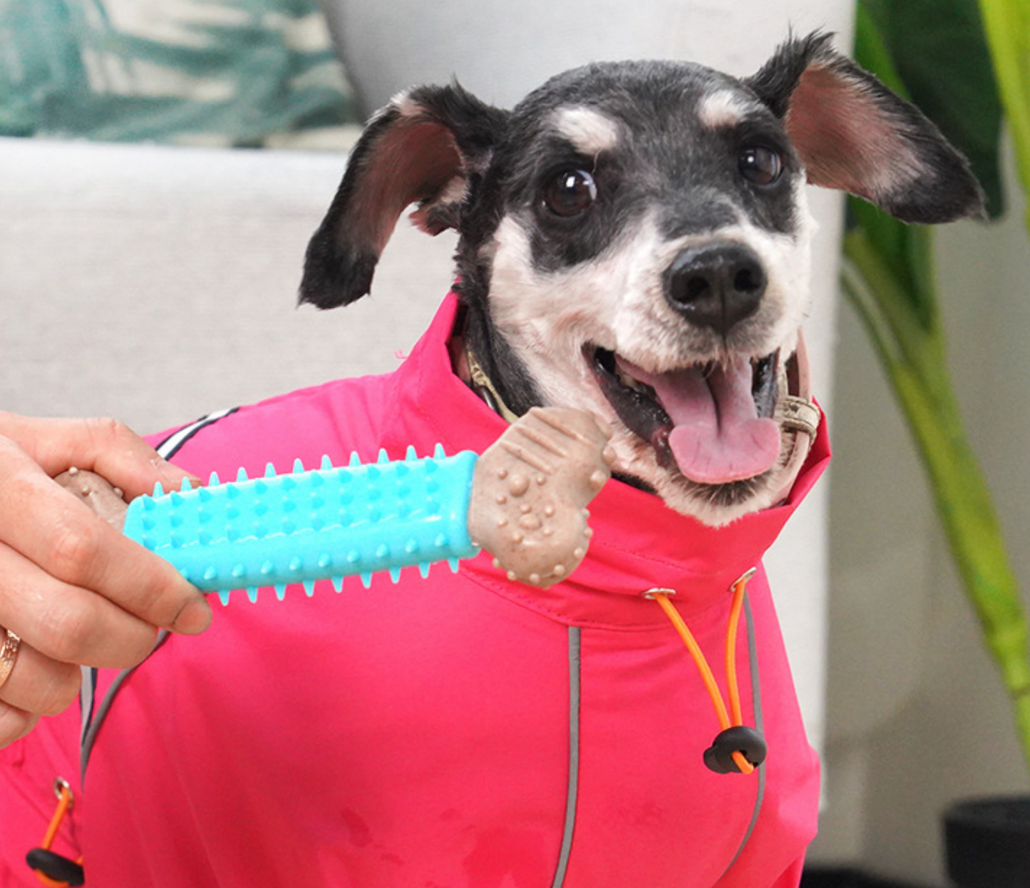 Chenpet Wholesale TPR Pet Chew Dog Toys