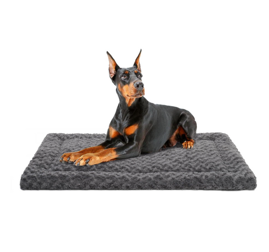 Chenpet Wholesale Cozy Pet Foam Beds