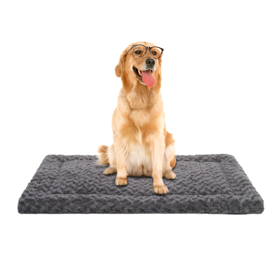 Chenpet Wholesale Cozy Pet Foam Beds