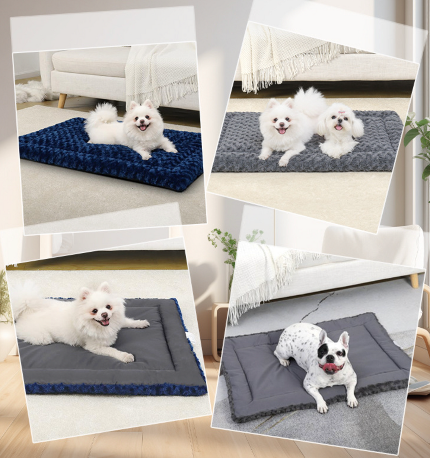Chenpet Wholesale Cozy Pet Foam Beds
