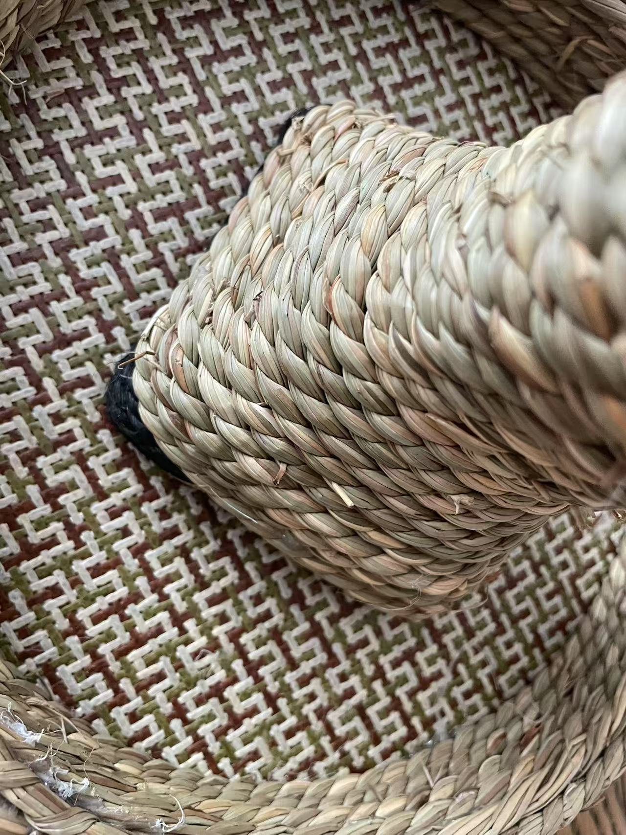 Chenpet Sisal Rope Carrot Tree Small Pets Play Toys