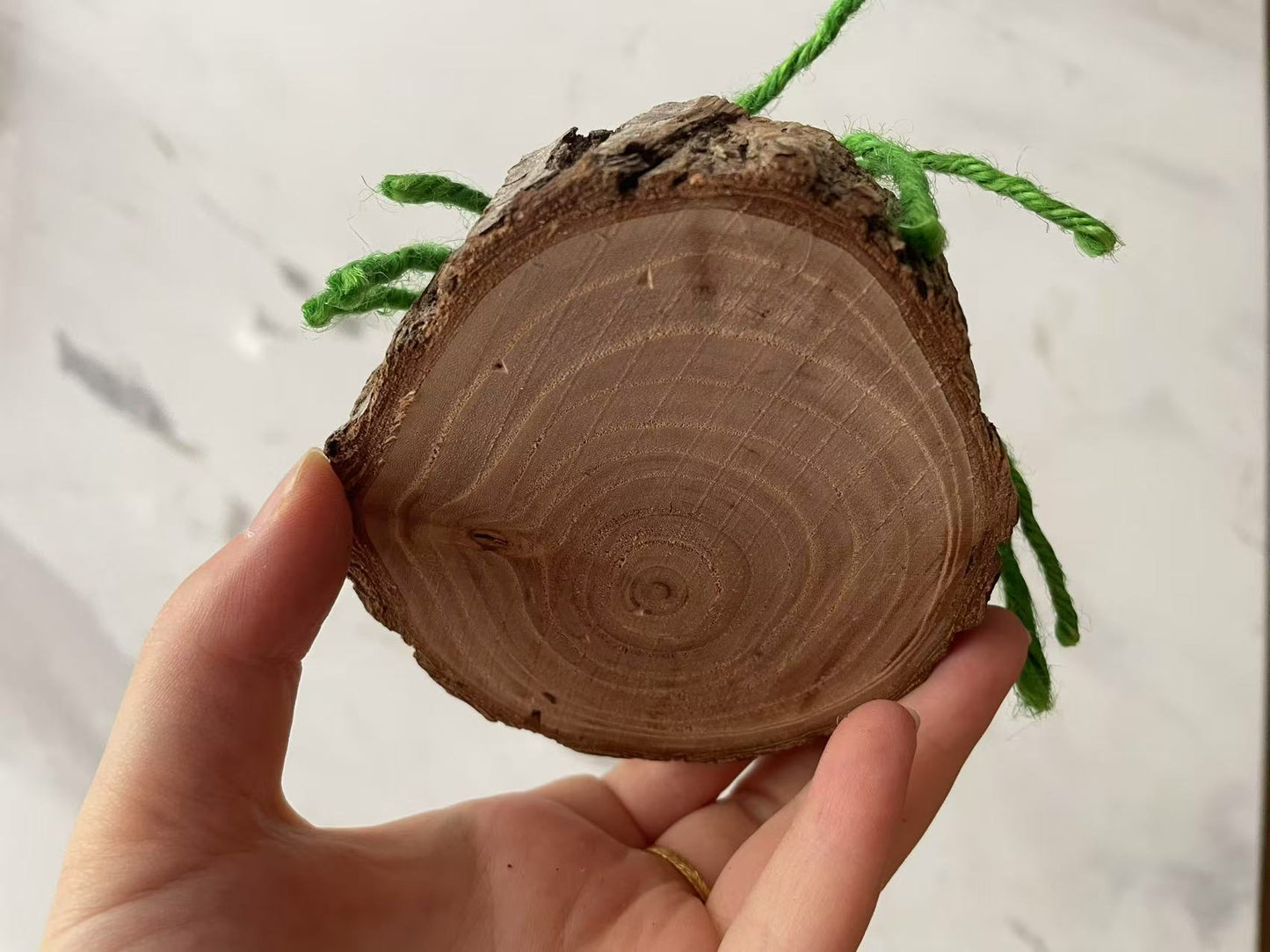 Chenpet Hot Selling Natural Wood Small Pet Enrichment Toys