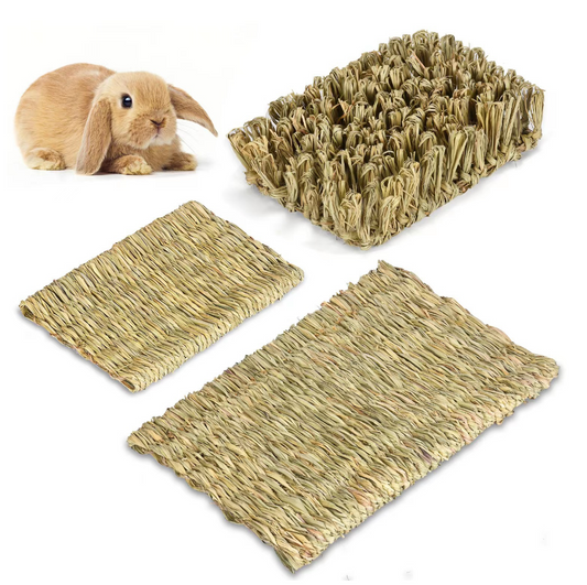 Chenpet Wholesale Natural Handmade Small Pet Products Grass Mats