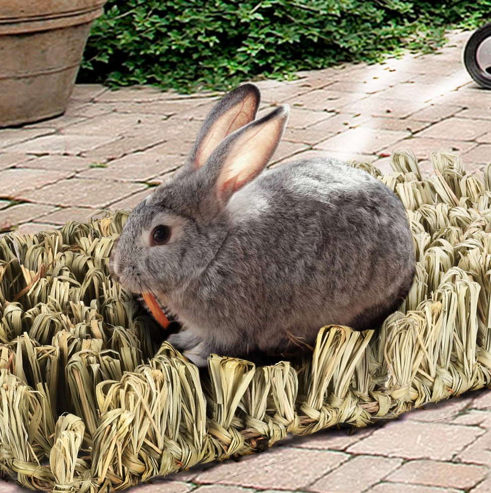 Chenpet Wholesale Natural Handmade Small Pet Products Grass Mats