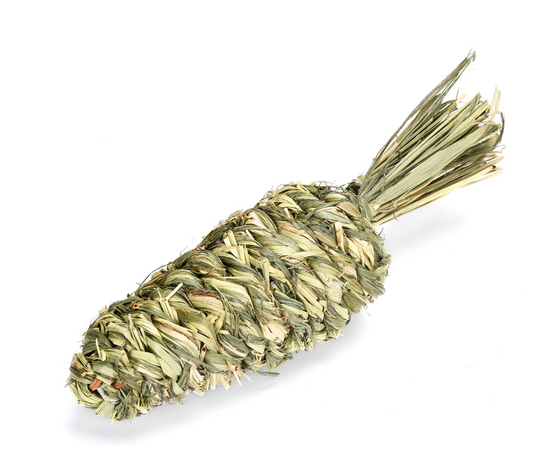 Chenpet Wholesale Natural Small Pet Enrichment Toys Timothy Grass