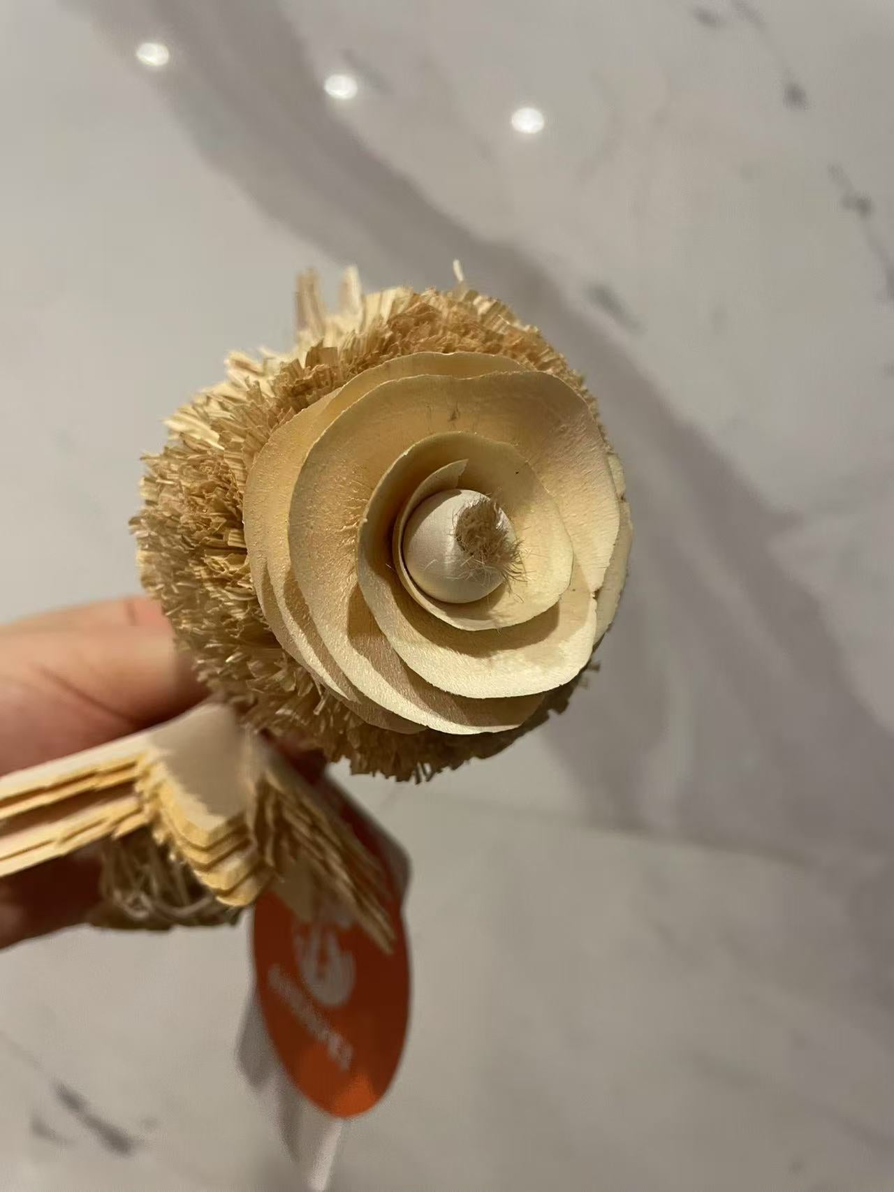 Chenpet New Arrival Natural Small Pet Enrichment Toys