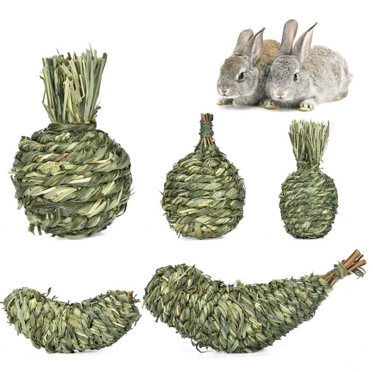 Chenpet Manufacturer Timothy Grass Small Pet Products