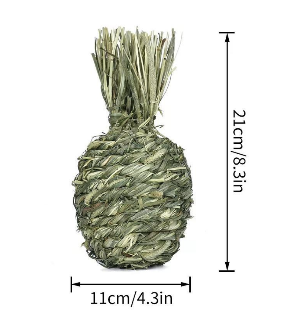 Chenpet Manufacturer Timothy Grass Small Pet Products